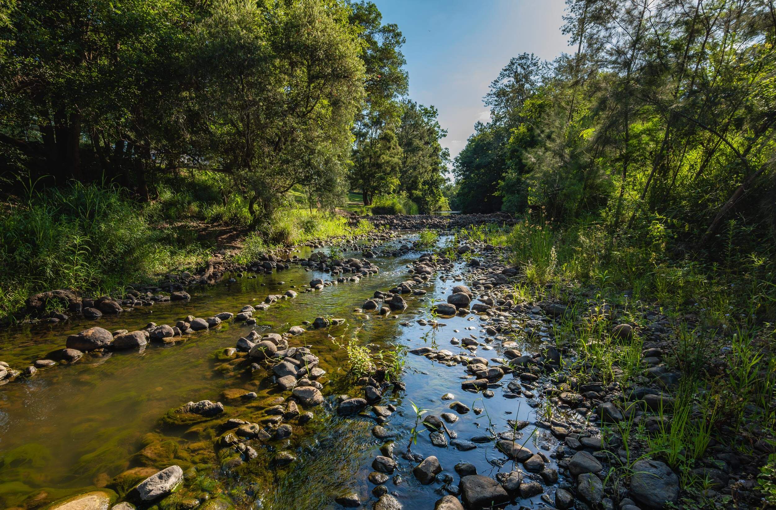 Canungra River at Sharp Park Camping