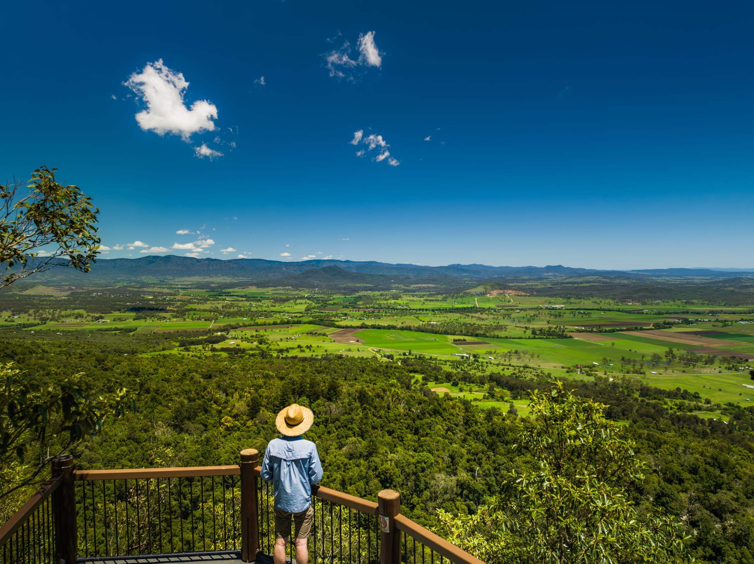 Mount French Lookout