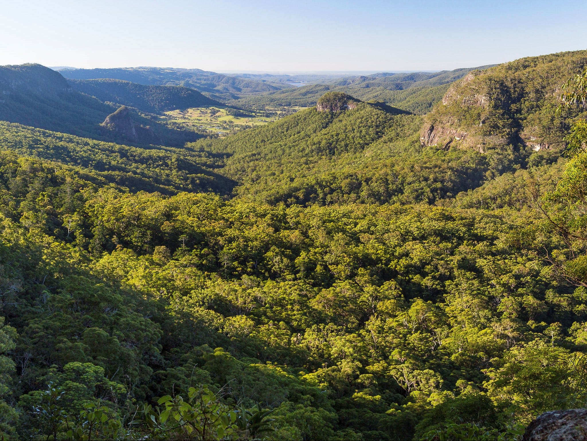 visit gold coast hinterland