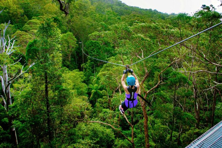 Zipline Tour