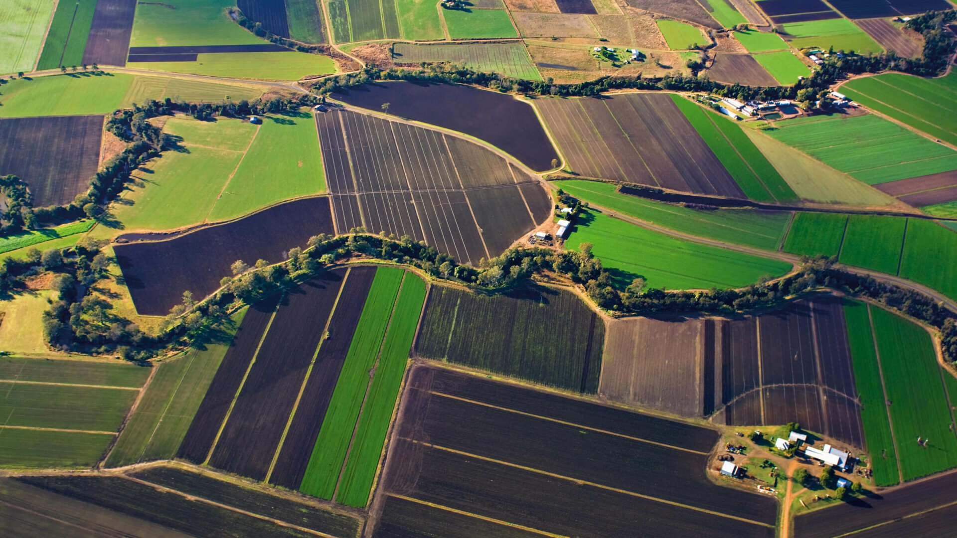 Farm gates & local producers - Scenic Rim