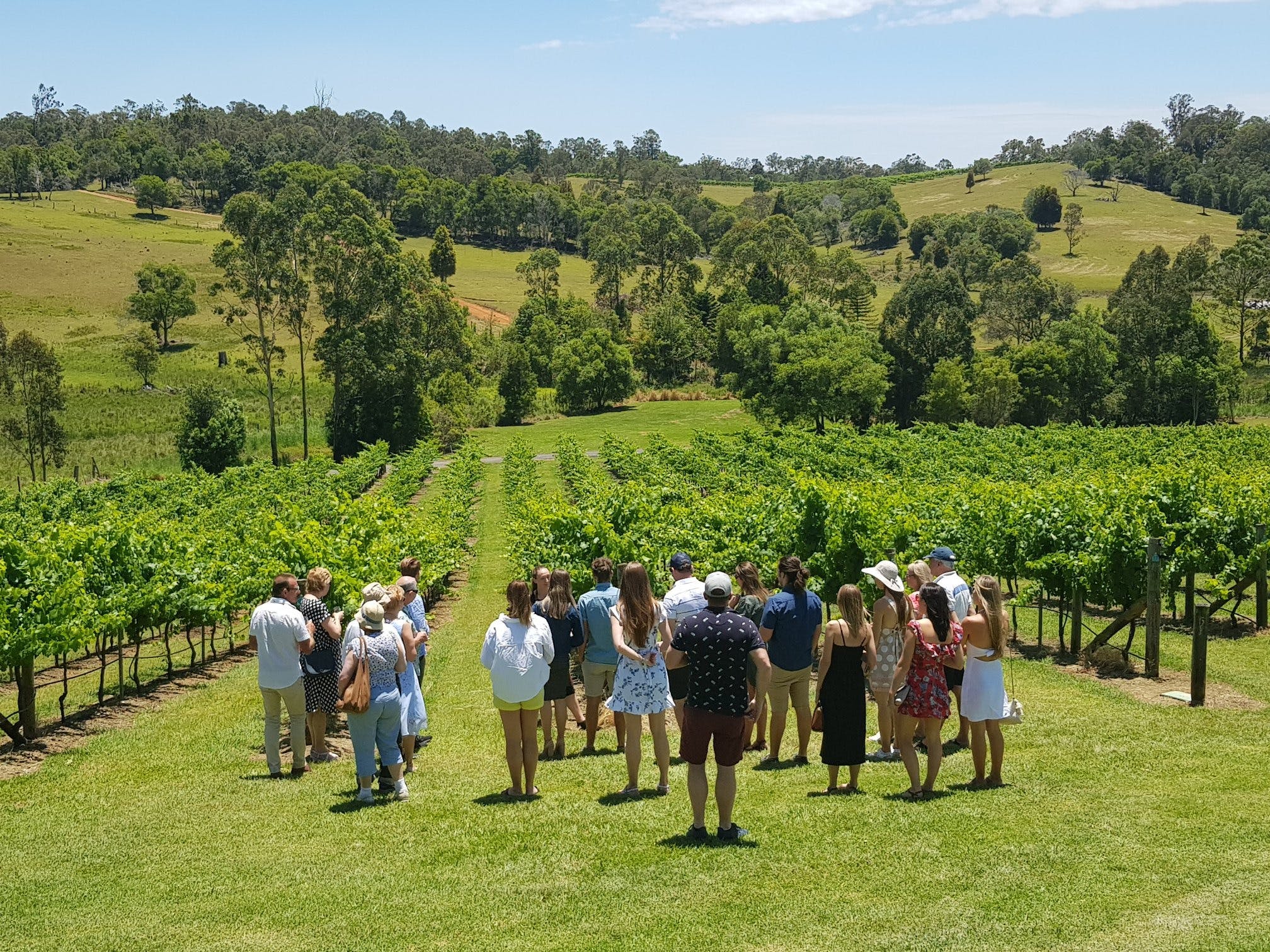 scenic rim winery tours