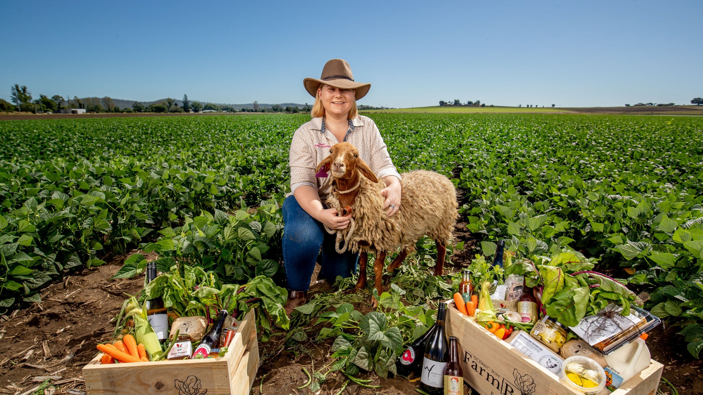 Towrie Sheep Cheeses