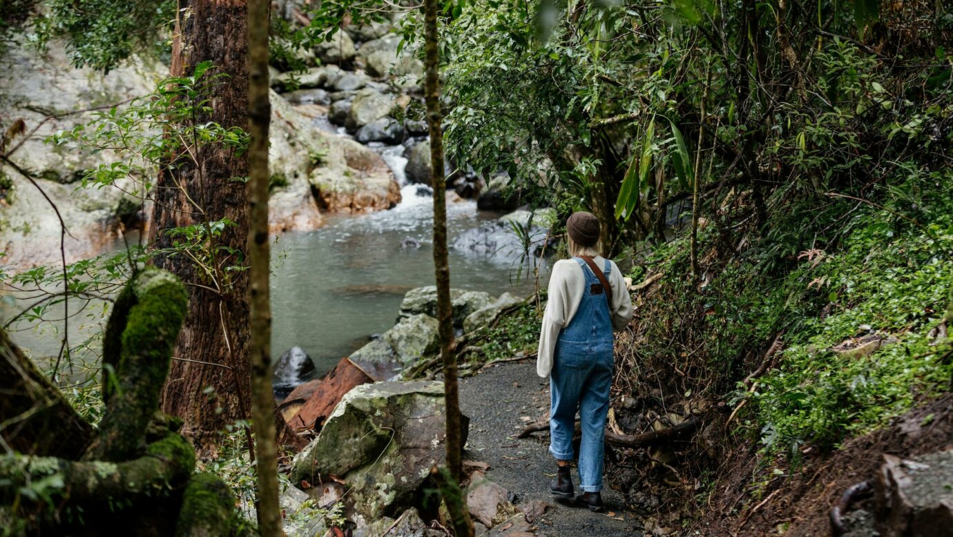 Cedar Creek at Tamborine Mountain Glades