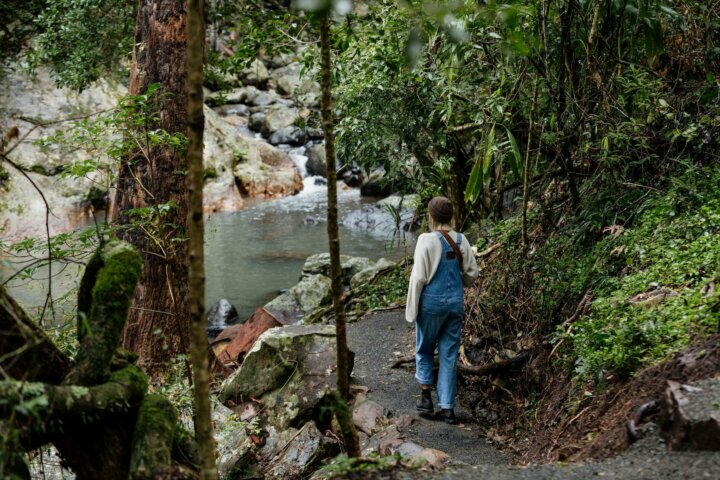 Cedar Creek at Tamborine Mountain Glades