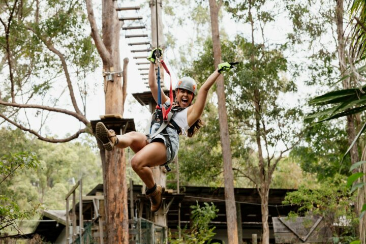 TreeTop Challenge