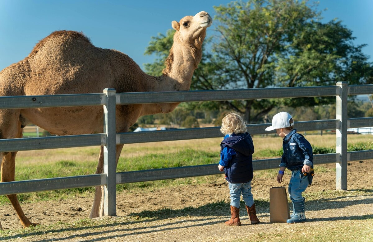 Scenic Rim Eat Local Month