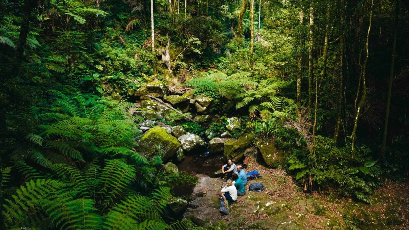 Dalrymple Creek Main Range National Park