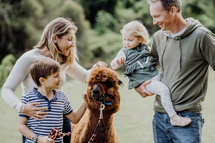 A family enjoys a one-on-one experience with an alpaca.