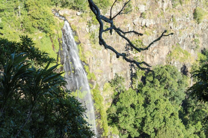 Waterfall tumbling over sheer rock cliff.