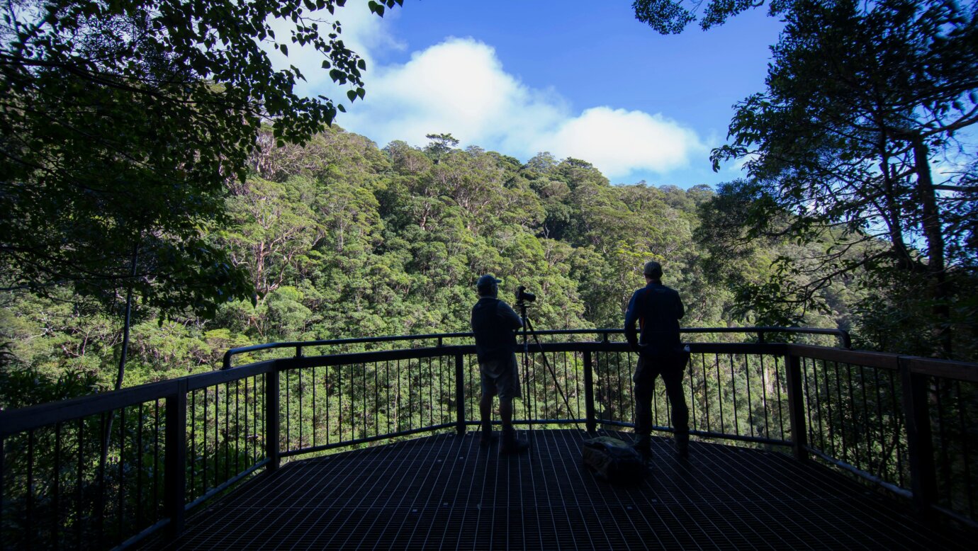 Peopel silhouetted against a lookout handrail with forest ridge in background.