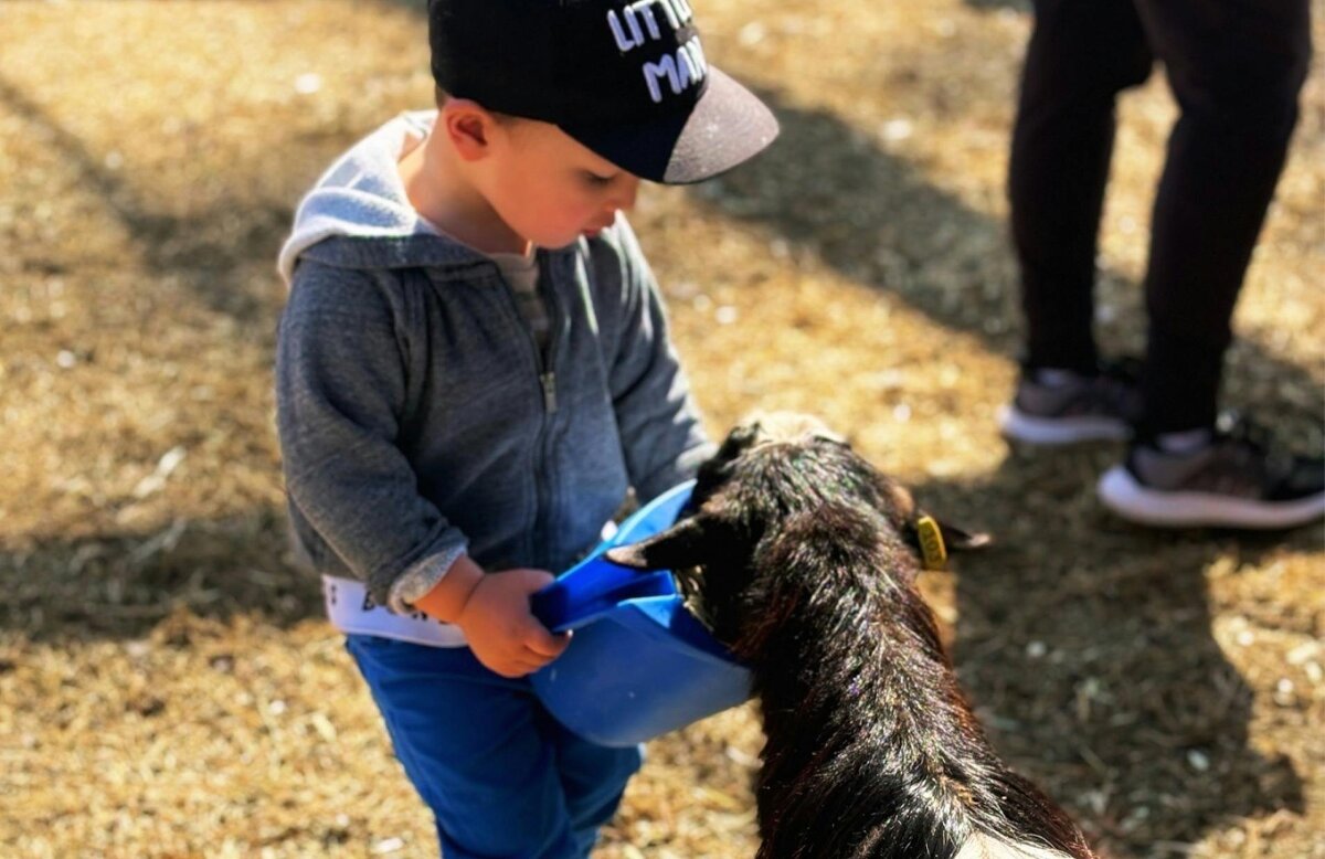 Harrisville Sunday Farm Day