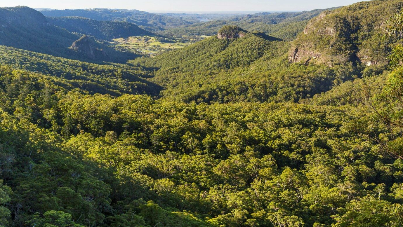 View down forested valley.