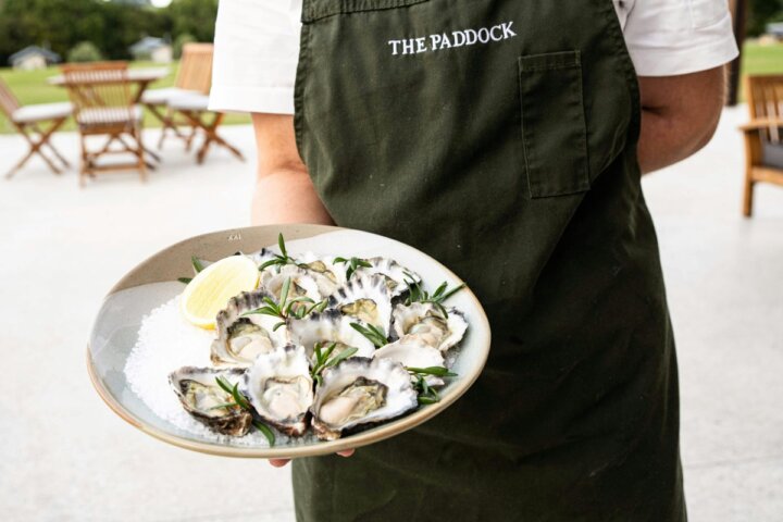 Chablis & Sea at The Paddock at Beechmont Estate