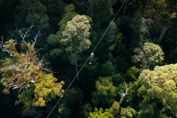 Bird eye view of zipline. Adrenaline speed, exciting immersive adventure!