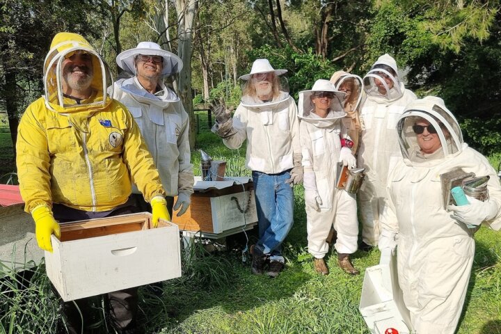 New Beekeepers Find the Hidden Secret To Huge Supplies of Raw Pure Honey