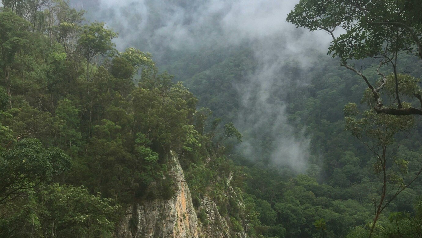 A scenic view in Lamington National Park