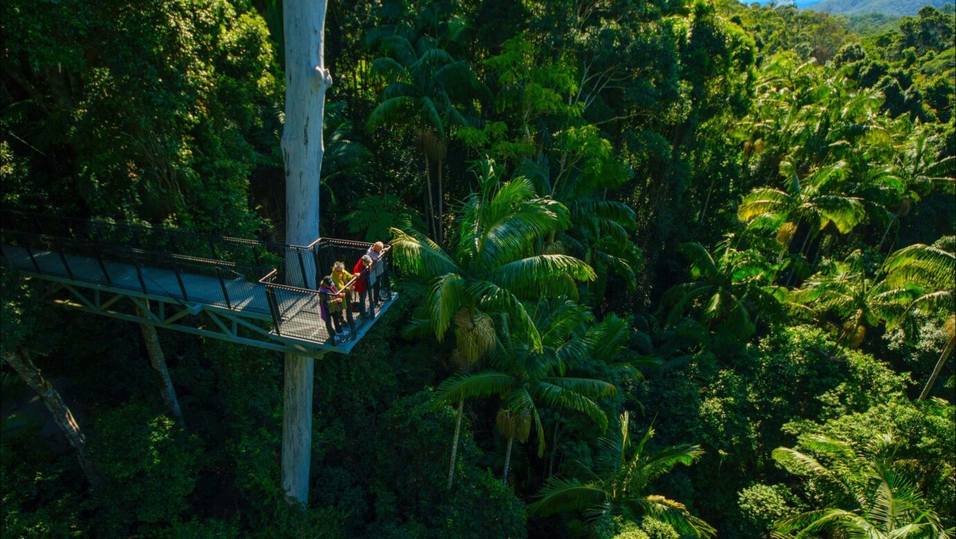 Tamborine Rainforest Skywalk