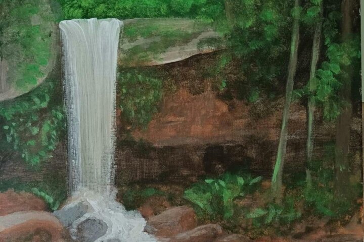 Curtis Falls Tamborine Mountain Painting Class